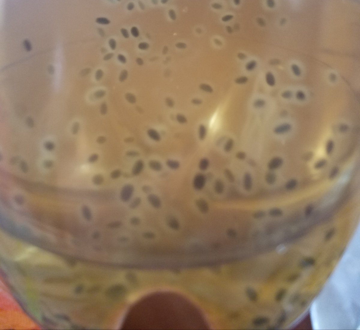 Islam_Is_Tru's tweet photo. Can anyone guess what this is?
• frog spawn
• juice with seeds
• something else - what?
• not sure
#poll #nopoll #WhatIsIt? https://t.co/bVIvrSELk7
