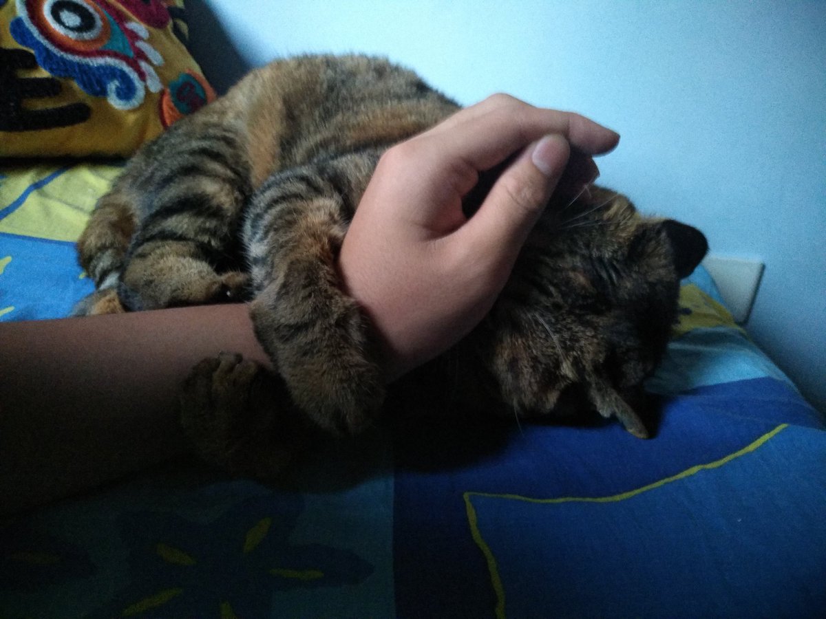 LoneWolf临渊/By_Abyss tweet media