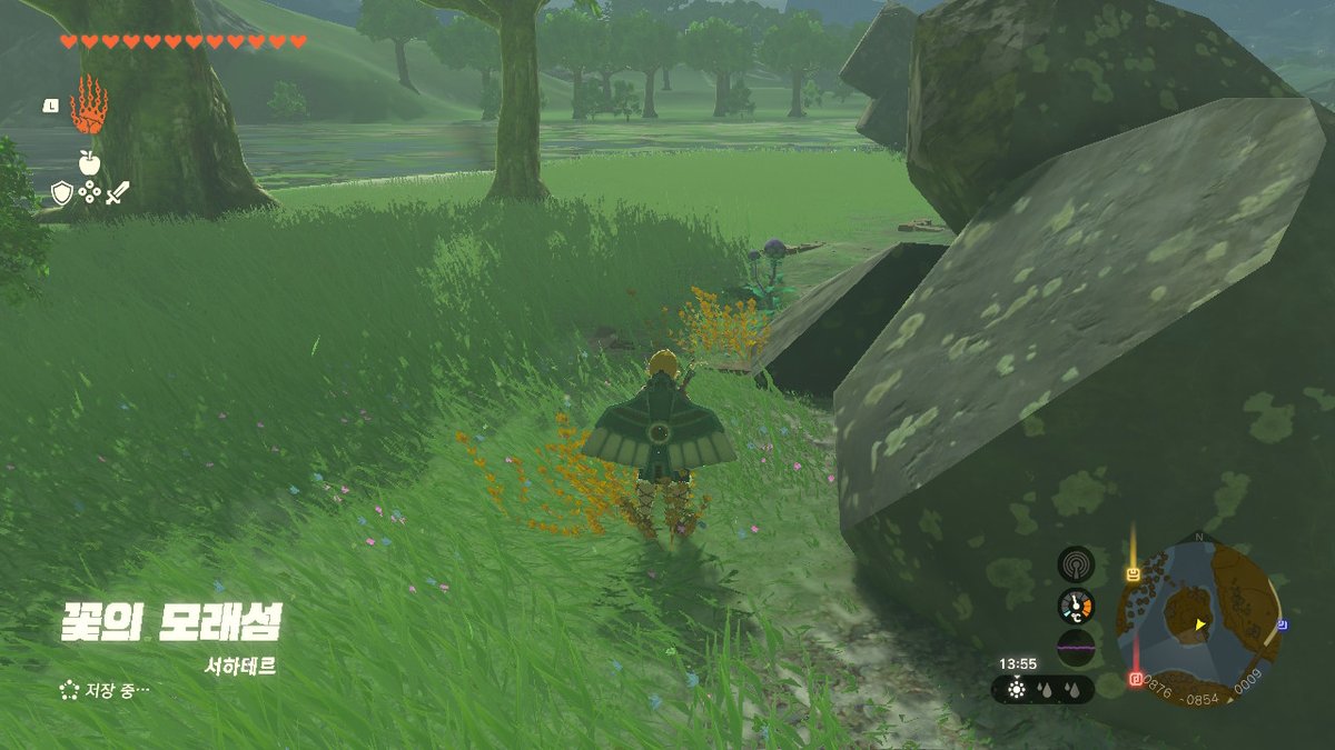 enviru_'s tweet image. #젤다의전설티어스오브더킹덤 #TearsOfTheKingdom #Zelda #NintendoSwitch