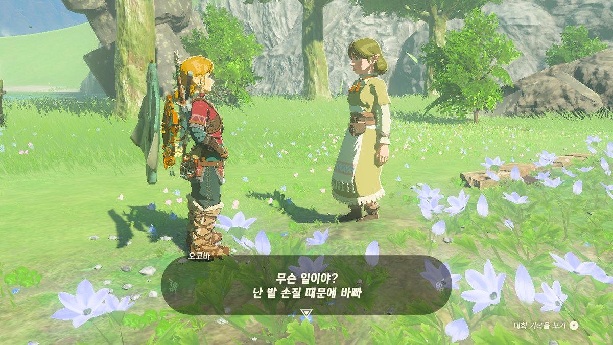 enviru_'s tweet image. #젤다의전설티어스오브더킹덤 #TearsOfTheKingdom #Zelda #NintendoSwitch