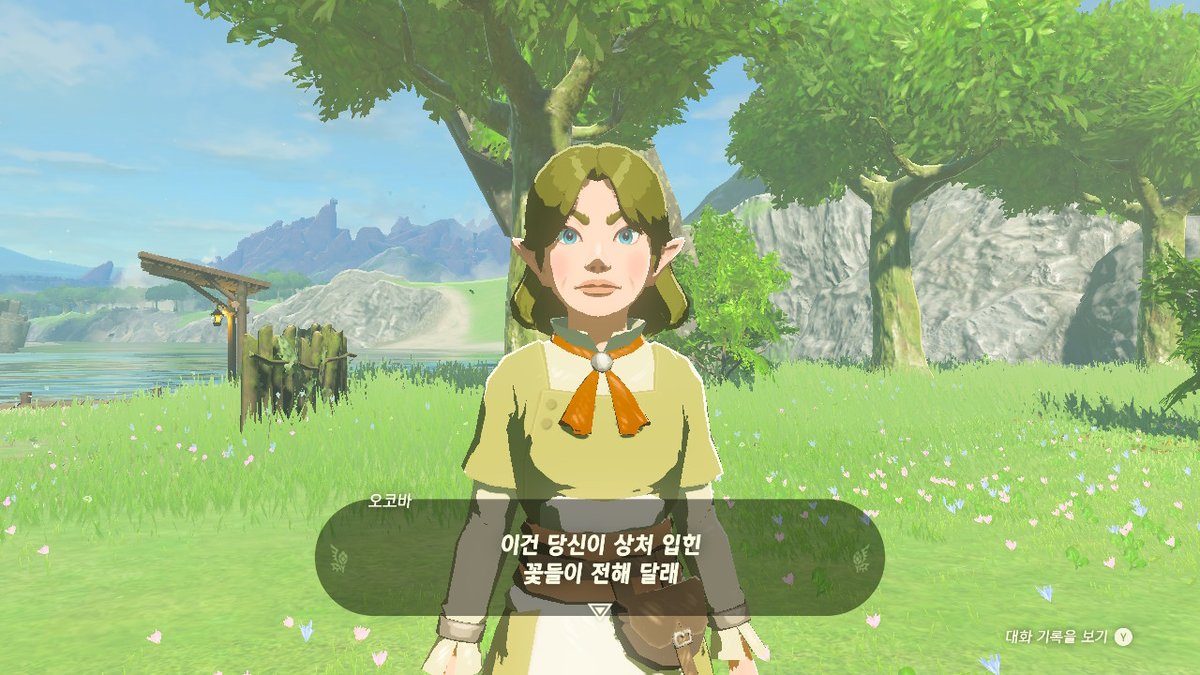 enviru_'s tweet image. #젤다의전설티어스오브더킹덤 #TearsOfTheKingdom #Zelda #NintendoSwitch