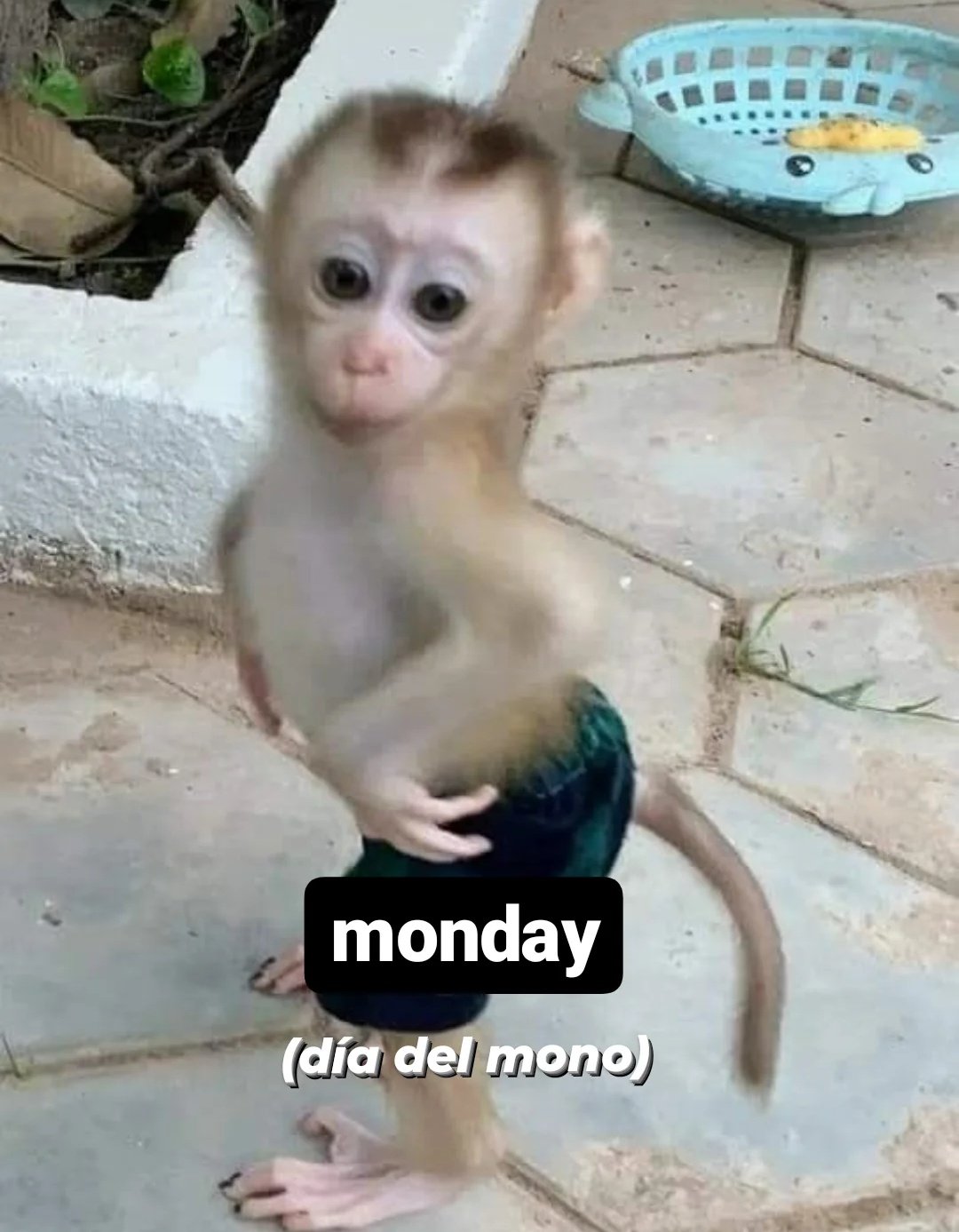 💀 on Twitter: 