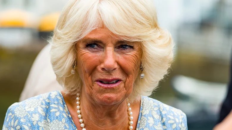 Why does it look like there is a media powerboat between laundromats #middletons and #notmyqueen #camilla very suspicious indeed