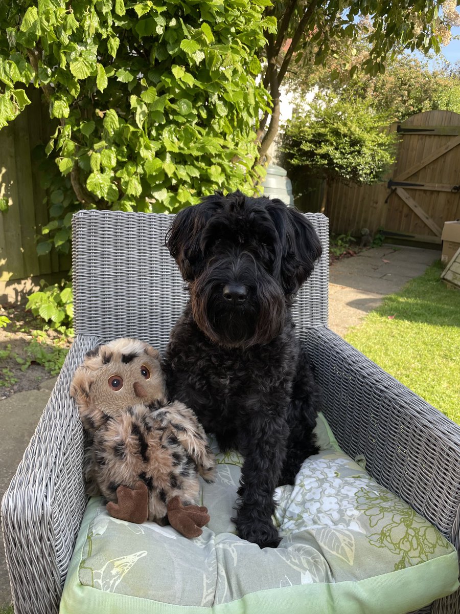 Lee Buttery tweet media