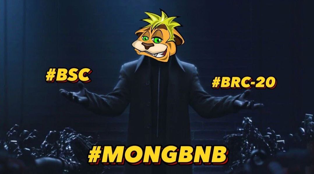 MONGBNB_BRC20 tweet media
