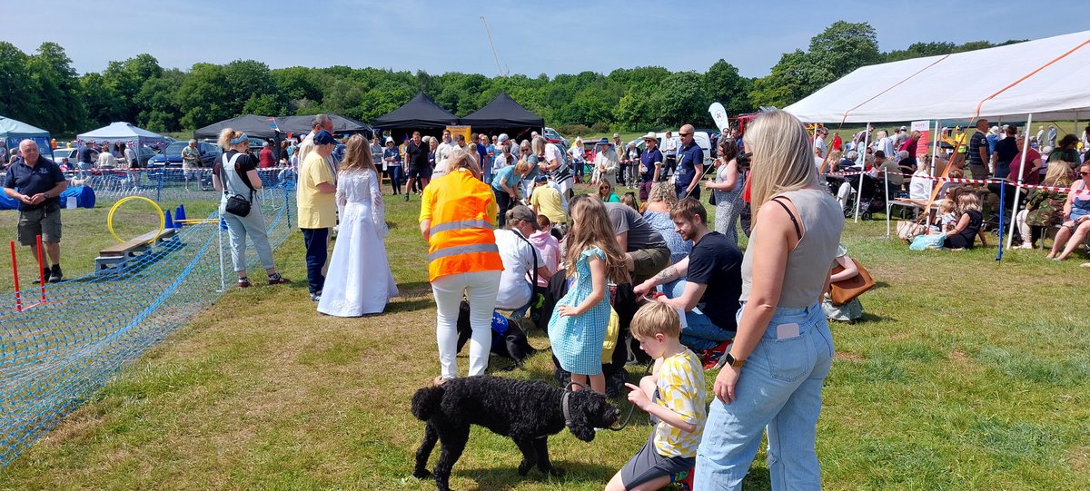 Knutsford Lions tweet media