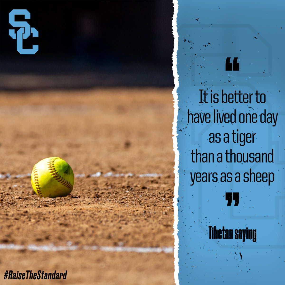 JSHSsoftball22's tweet image. The Seguin Cougars want to be aggressive in every aspect of the game

#SeguinNation
#CougarSoftball
#QuoteoftheDay