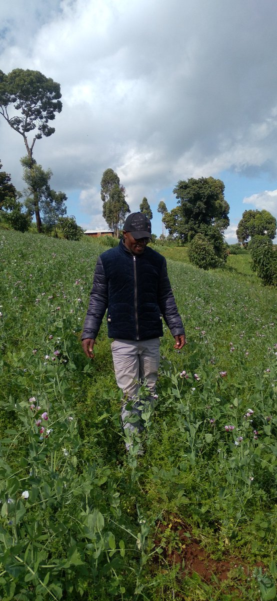 Knowledge grows ask Yara experts for Better results <a href="/yarakenya/">YaraKenya</a> #MboleaNiyara