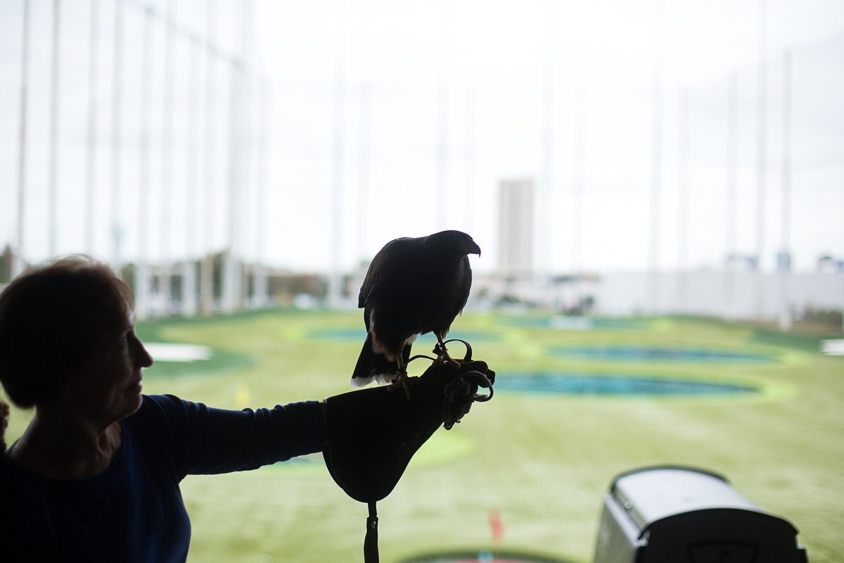 HoustonSPCA's tweet image. THIS WEEKEND! Join us for a morning of summer fun, brunch, and friendly competition at TopGolf benefiting Houston SPCA&apos;s Wildlife Center of Texas! Sign up your team and compete for a great cause, visit bit.ly/43ARjAB for more info! 
#Wildlife #AnimalLovers #GiveLocal