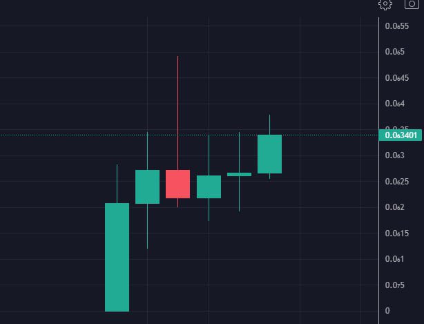 HAVE FUN token tweet media