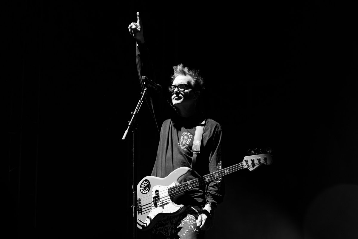 Adjacent Festival tweet media