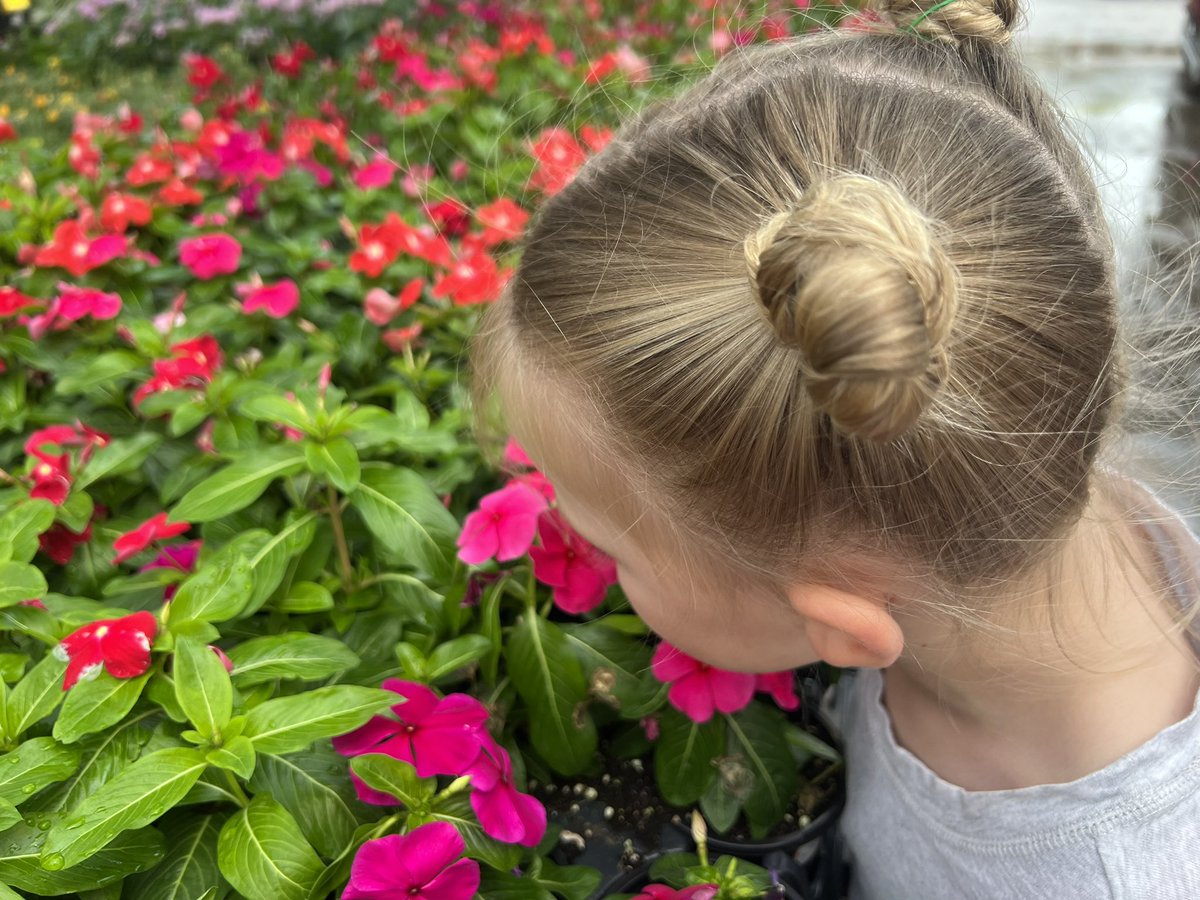Remember to stop and smell
The flowers…