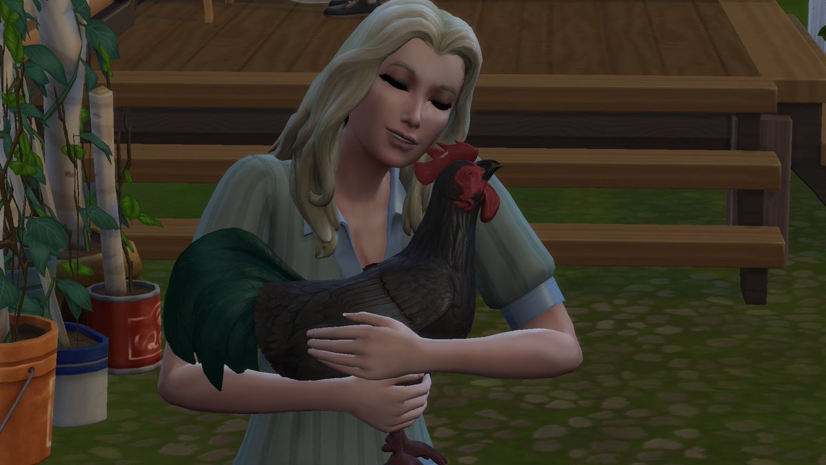 Norah adopted chickens!

#Sims4 #Sims4CottageLiving #Sims4Werewolves