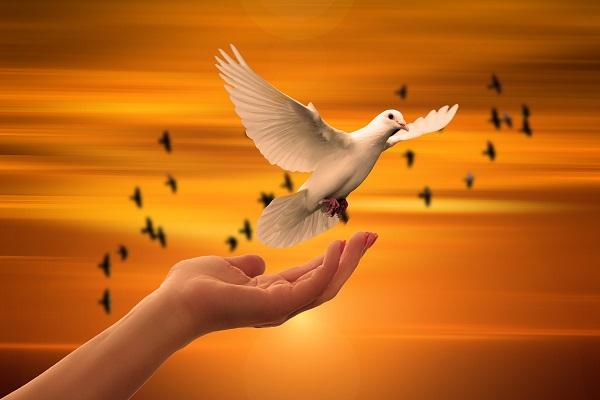 UN Day of Peacekeepers – 29 May
#Peace begins with me
The United Nations Day for Peacekeepers is designated to pay tribute to all the people who have served in UN peacekeeping operations throughout the world. thehub.sigbi.org/blog
#UnitedNations
#soroptimistireland