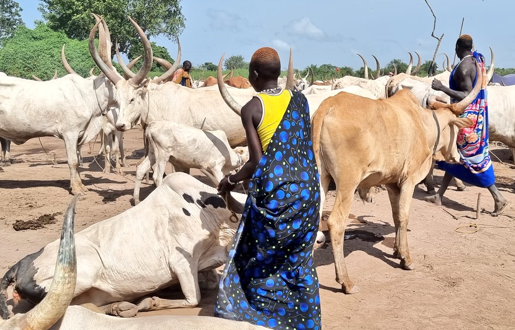 Maureen Hirwa tweet media