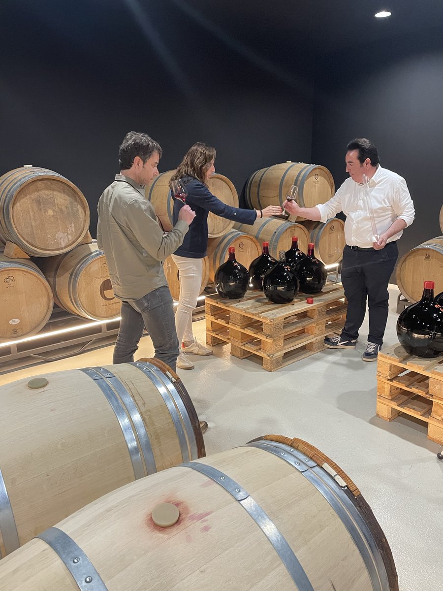 AgroNewsCV's tweet photo. La @coopviver logra que se registren las variedades autóctonas de uva antigua Pampolat y Mondragón. Este año lanzará ya una edición limitada en formato reducido del primer vino elaborado con Pampolat

https://t.co/LZKXCmMymI https://t.co/3HiuQmXmPn