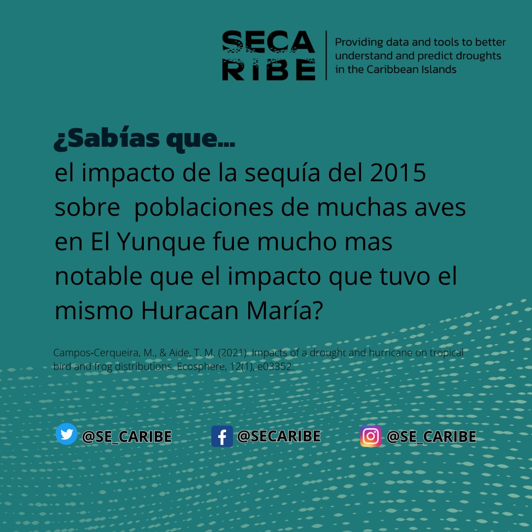 SECARIBE tweet media