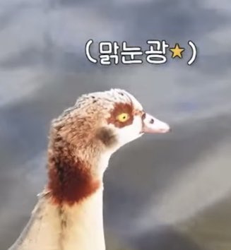 여전히황민현🍑🧡 tweet media