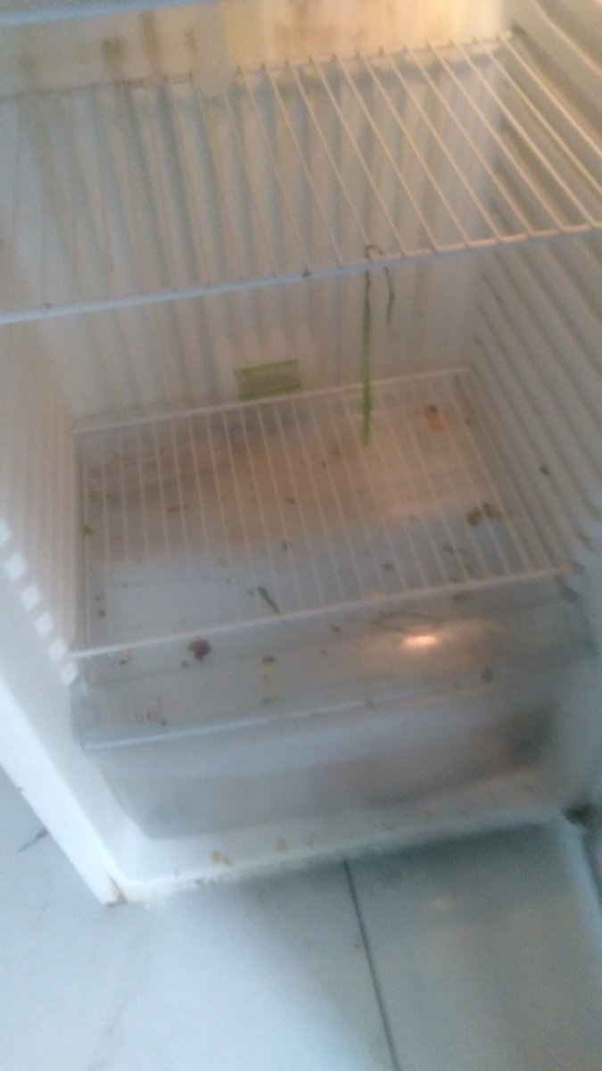 nunesguer's tweet photo. @trf3_oficial agradecendo ao forum porem de forma revoltante ao inss aqui existe uma familia em grandes dificuldades meu marido alexandre rogerio da silva alves sem se alimentar um trabalhador abatido pela doença gente , um dia e muito ele precisa receber os direitos dele https://t.co/h9bP5AMBrv