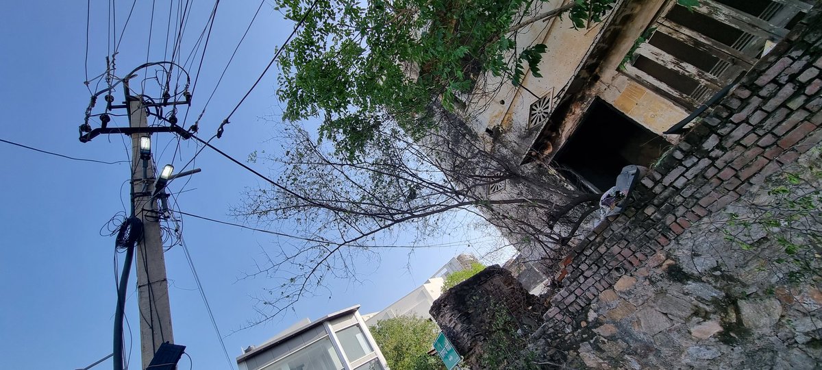 @TPAJMER Request for proper tree cutting. Yesterday night tree fell on wires leading to #power outage in our area for whole night. Area: Kishangarh Kothi, Jaipur Road, Near Swastik Petrol Pump, Hathi Bhata Division. #Ajmer @TataPower @Dmajmer @RajCMO