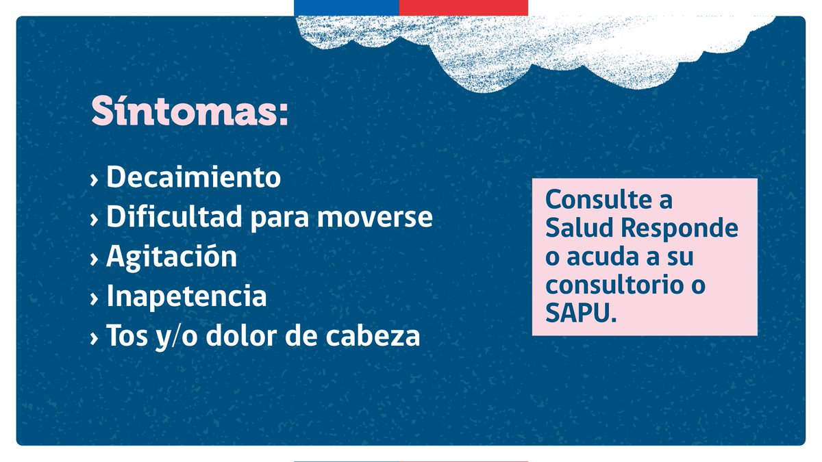 Servicio de Salud Metropolitano Oriente (SSMO) tweet media