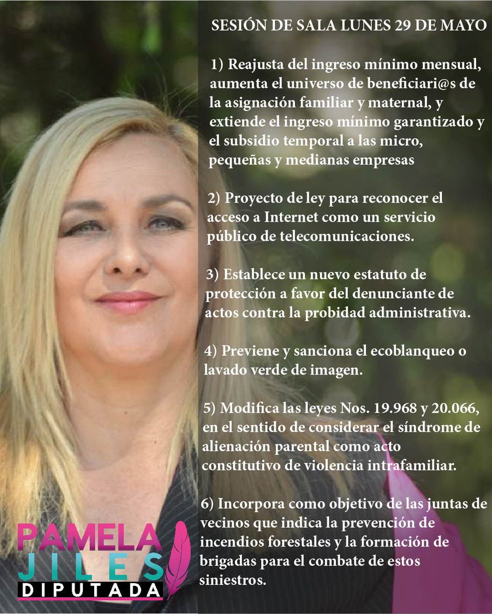 PamJiles's tweet photo. Estos son algunos de los proyectos de Ley que tramitamos y votamos hoy en la @Camara_cl, mientras seguimos trabajando por el #SextoRetiro q solo será posible con la exigencia ciudadana x el aumento del desempleo y la grave crisis económica. https://t.co/6R68J1X6nm