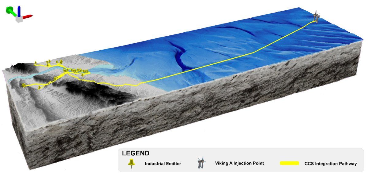 Muir Freer tweet media