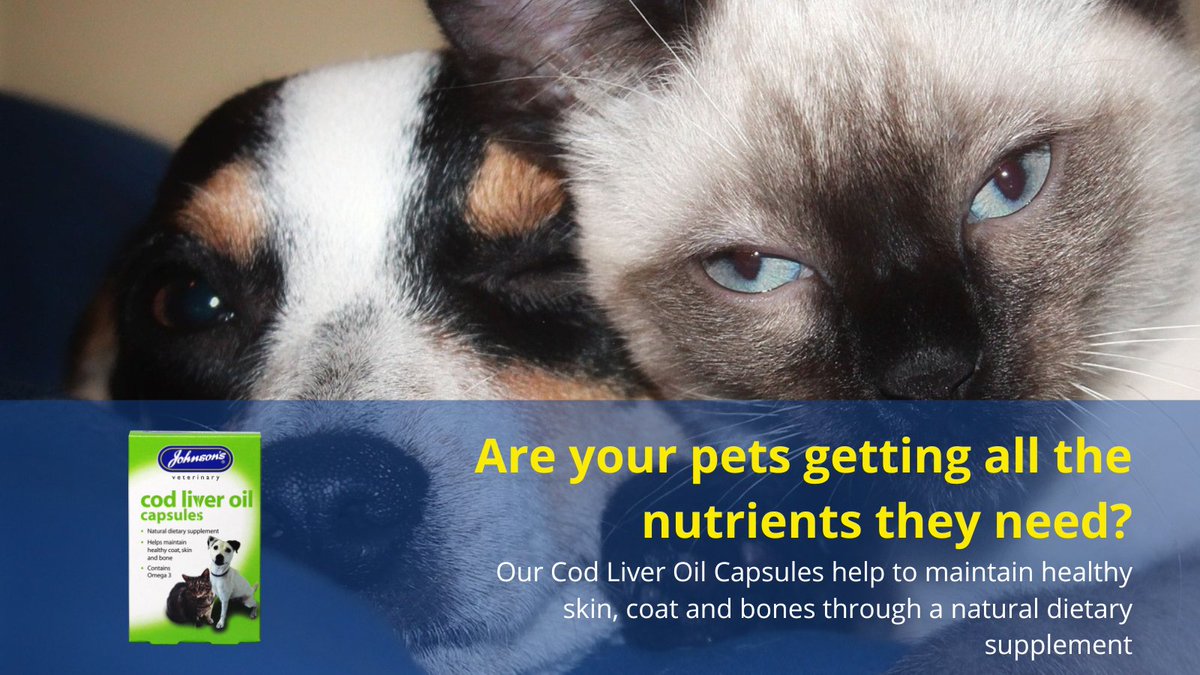 JohnsonsVet's tweet image. Our #CodLiverOil capsules help to promote and maintain healthy #skin, #coat, #bones and resistance to ailments when ingested regularly. Suitable for all pets: johnsons-vet.com/shop/s020-cod-…