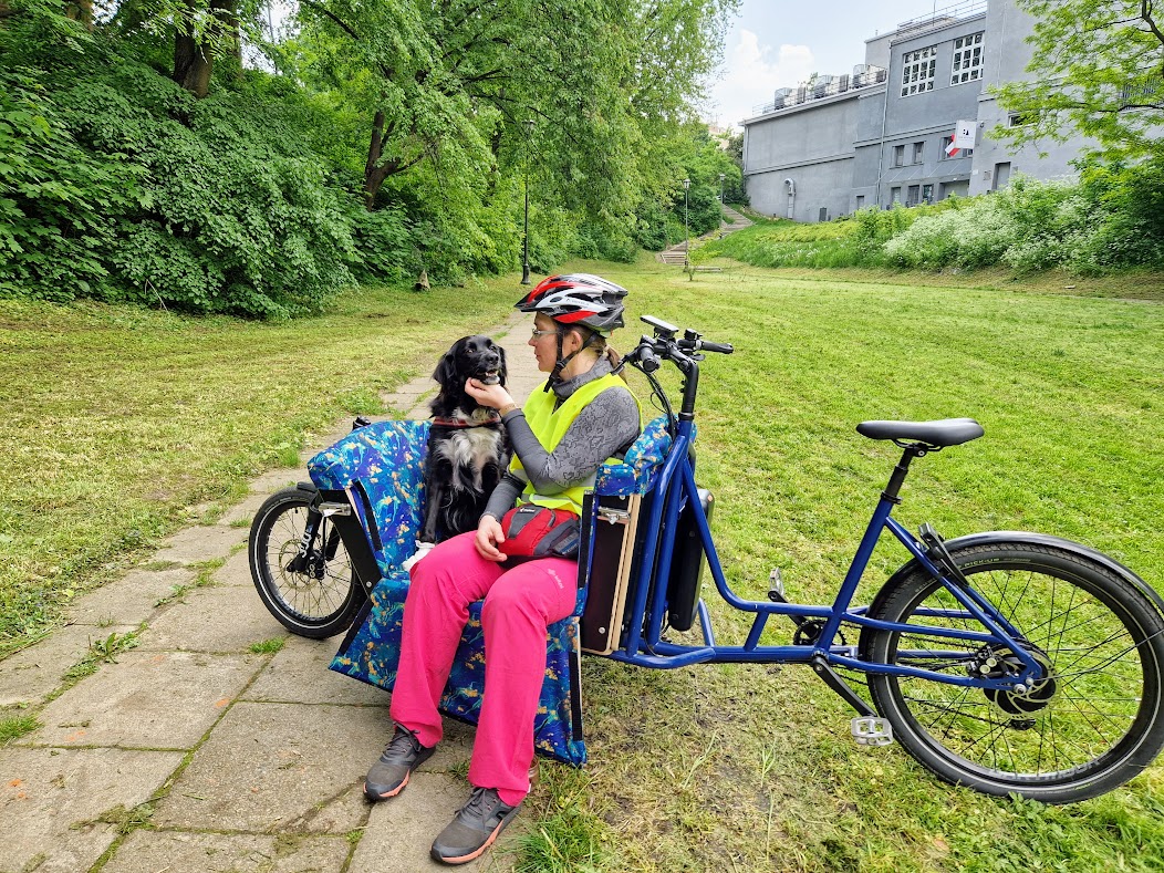 The Urvis Bike 'PerPETuum' for rides with dogs, cats or other cool animals is already being extensively toured.

In our opinion, this is a great way to expand the territory of walks with furry friends!

Soon this version will be in our offer.

#cargobike #micromobility