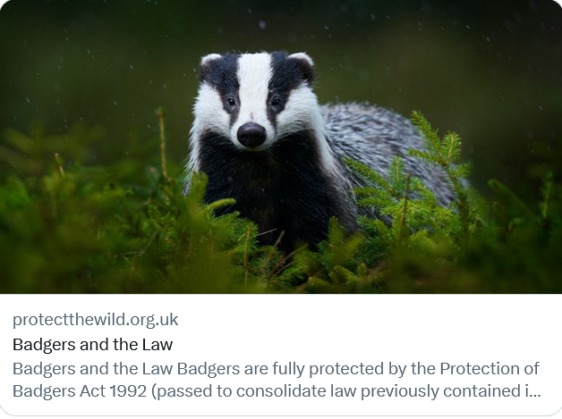 Some #BankHolidayReading for 🦊 #badgermonday 🦡 
twitter.com/ProtectTheWild…