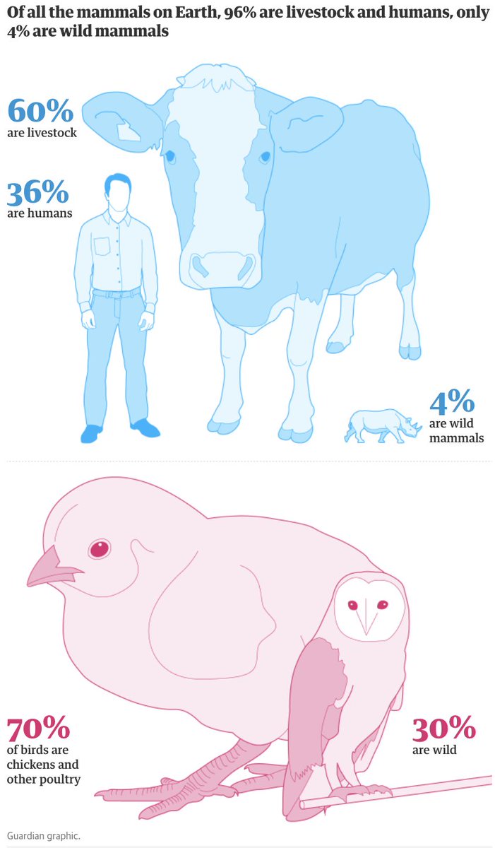 hugopottisch's tweet image. Was there ever an international organisation with more #sciencedenial behind them than the @FAO?

It's like if the @IEA ignored solar and wind to push for more coal. The IEA doesn't do this. 

Why isn't the @FAO more than a meat, fish and dairy lobby in 2023?