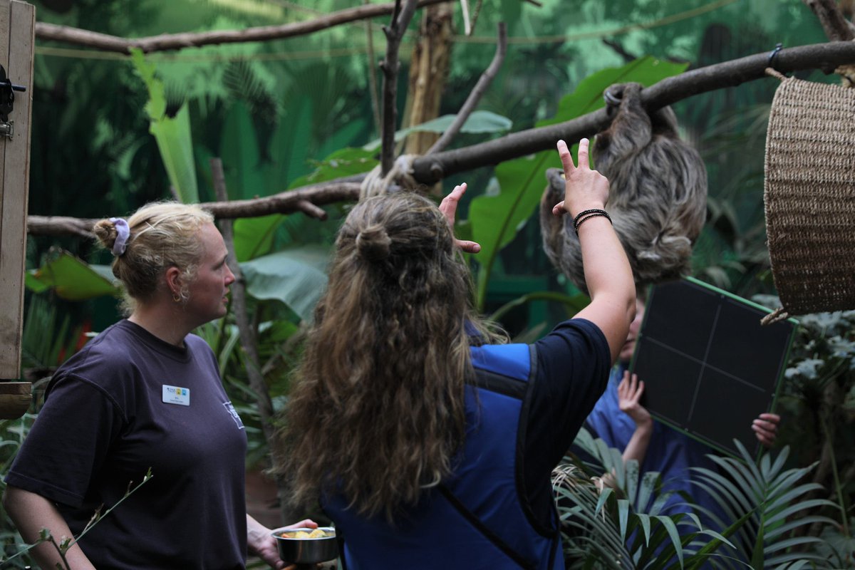 EdinburghZoo tweet picture