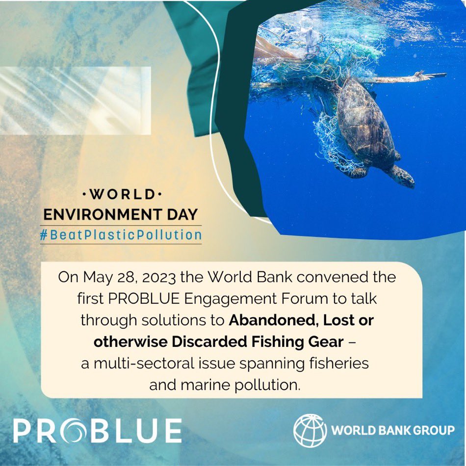 Valerie Hickey tweet media