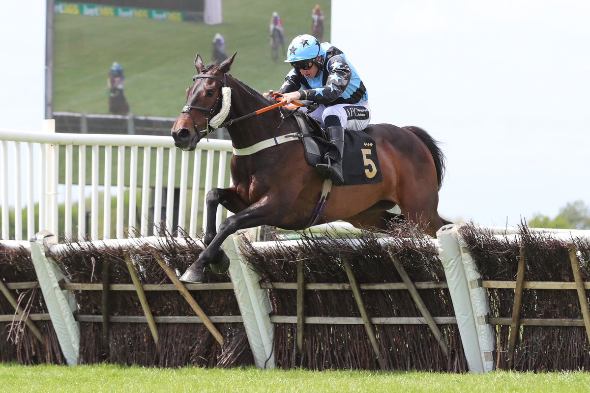 Huntingdon_Race's tweet photo. Happy retirement to RATOUTE YUTTY who made her final run a winning one!

Congratulations to all connections 👏 

She will be enjoying her retirement with @CarolineFryer2 and family on the hunting field. https://t.co/aMWC3l1wWp