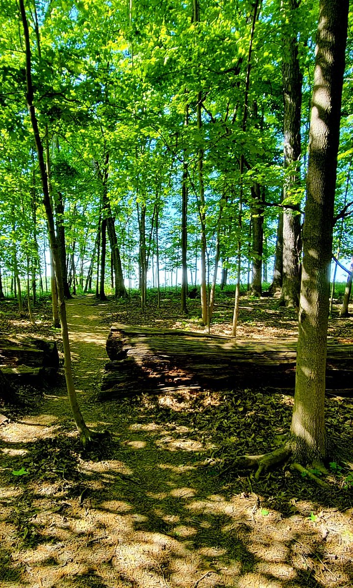 JasonKolo4's tweet photo. Buckeye Trail through Cuyahoga Valley National Park Section #hike #sectionhike #thruhike #hiking #photo #photography #photographer #hikingadventures #getoutside #BuckeyeTrail
@hikethebt https://t.co/tIMreh0x1F