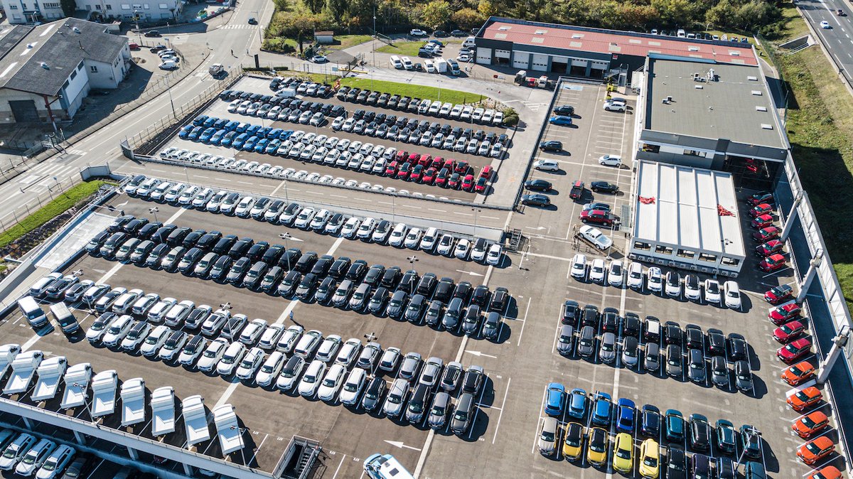 Starterre tweet media