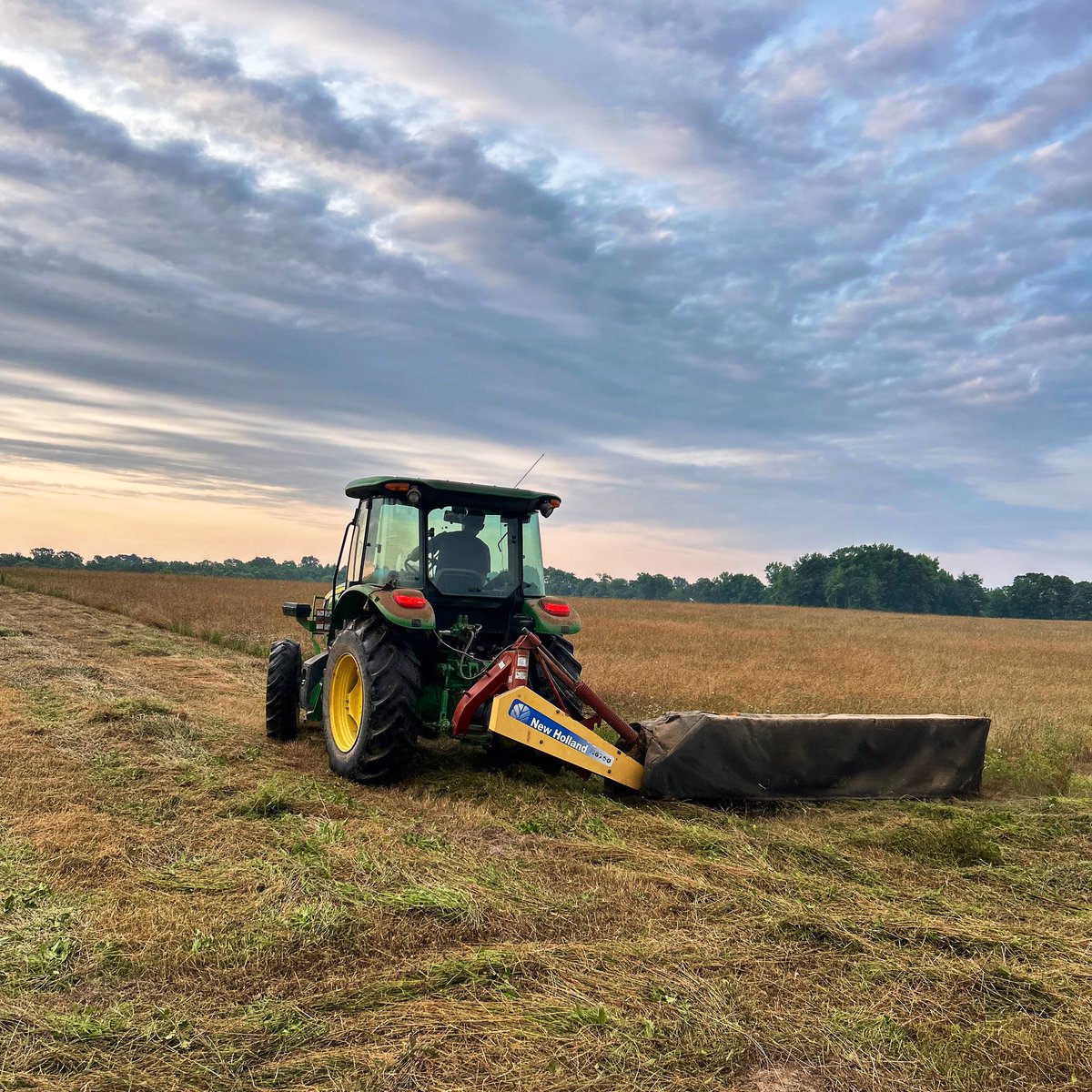 Holiday in the hay field. Enjoying the sunrise from the cab today instead of the driver’s seat of my school bus!