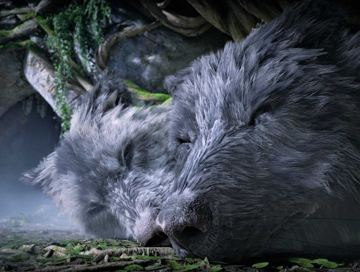 Djammo_95's tweet photo. Skǫll &amp; Hati ☯️

#GodofWarRagnarok 
#AnimalMonday 🐺🐺

#VPRT 
#GodofWar #ArtisticofSociety #VirtualPhotography #VGPUnite #WorldofVP #PhotoMode #ThePhotoMode #TheCapturedCollective #PSBlog #ZarnGaming #ZVPCollection
@SonySantaMonica https://t.co/frhuUFB6xe