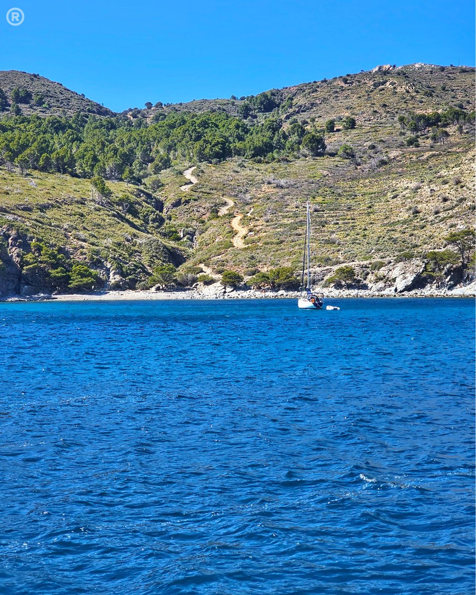 Bon dia! 🌊⛵

¡Buenos días! 🌊⛵

Bonjour! 🌊⛵

Good morning! 🌊⛵

Guten Morgen! 🌊⛵

Goedemorgen! 🌊⛵

Buongiorno! 🌊⛵

@costabrava @badiaderoses @catexperience @ajroses @cami_de_ronda @naturalocal @aempordaturisme @redcostabrava @empordalovers