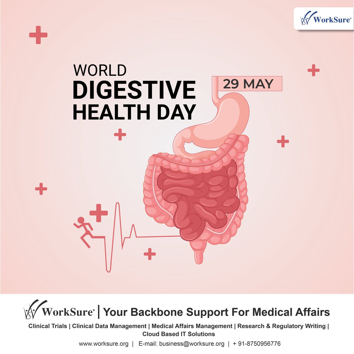 World Digestive Health Day is observed annually on May 29th to raise awareness about the importance of digestive health and its impact on overall well-being.

#worksure #digestionsupport #digestivehealth #clinicaltrials #clinicalresearch #clinicaldatamanagement