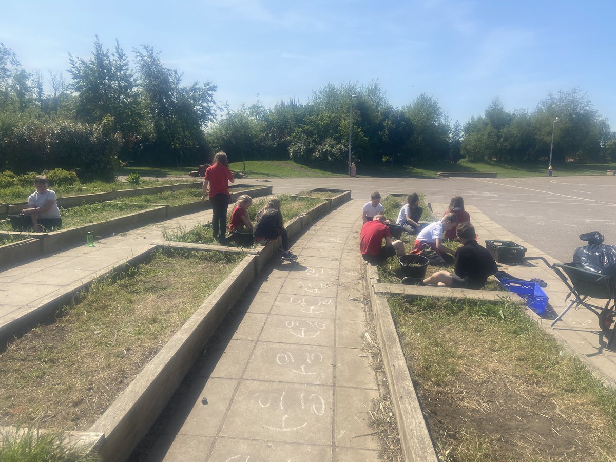 P5C preparing the garden for our planting of wildflowers as part of our John Muir Award conservation #JohnMuir #OutdoorLearning