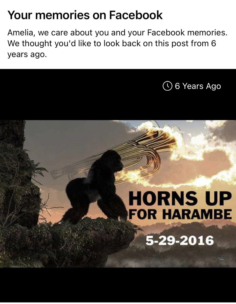 veggie_omelette's tweet photo. https://t.co/lddXqteLac