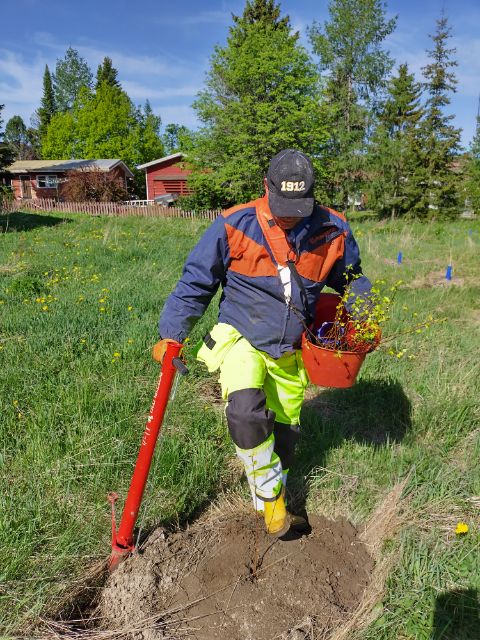 MinnaRautalin's tweet photo. Metsitystä talkoilla ympäristön hyväksi Euran Paneliassa 🍃 Kunnan joutomaalla kasvaa jatkossa koivumetsä!
#metsitys #vesiensuojeluntehostamisohjelma #vedenvuoro #vesikestävä
@yministerio @POPELYkeskus @metsakeskus @PJinstituutti @SatakunnanAMK @EuranKunta https://t.co/75rZSboGNX