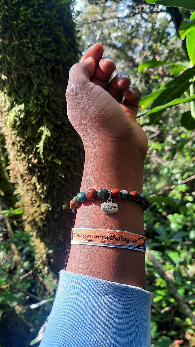 Mery_nomsa tweet media