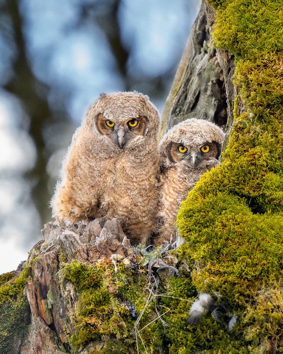 martinimages, image size:960x1200