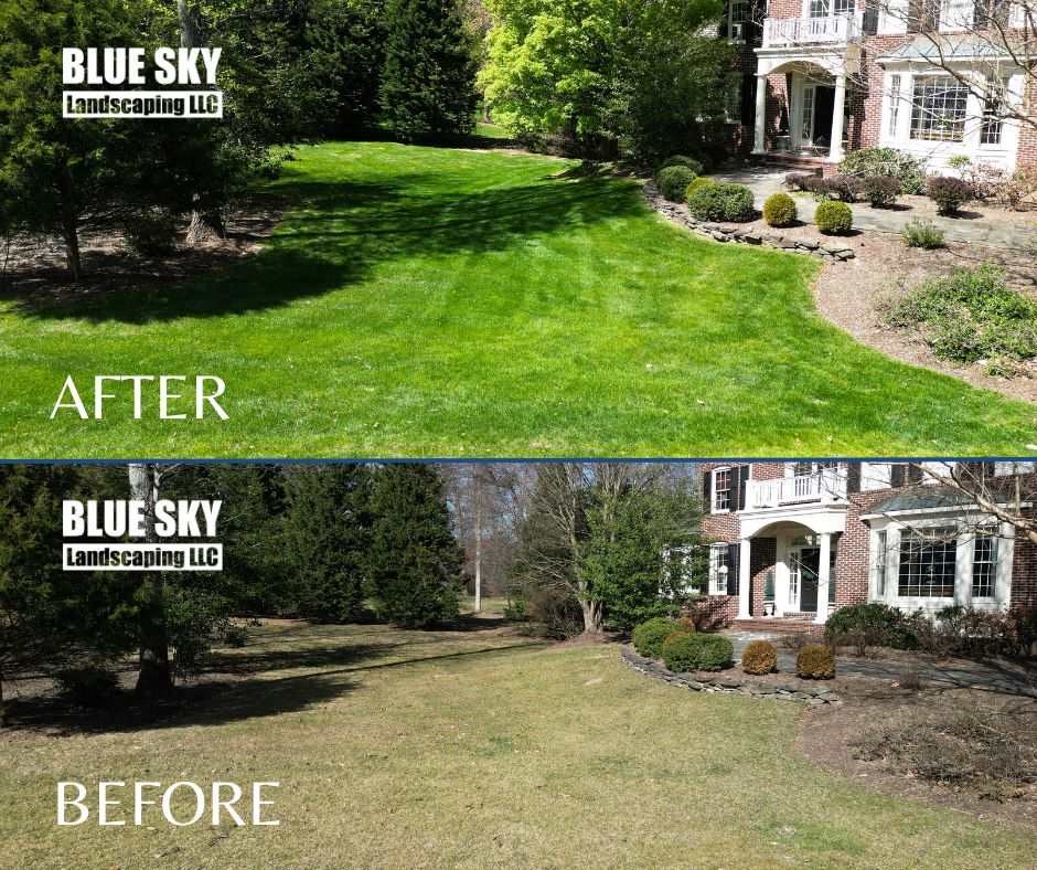 BlueSkyLScaping's tweet photo. You need to do more than mow your lawn. Make your neighbors green with envy by using our Turf Maintenance Program. Al-inclusive, end-to-end service from a brand you know and trust.
https://t.co/xE61BtwwWo
#landscape #landscapephotography #greenturf #lawncare https://t.co/bEkdAHvB0J