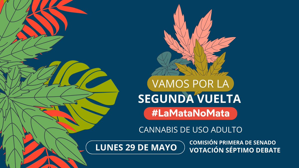 🚨HOY🚨
🌿Por que #LaMataNoMata  #EsHoraDeRegular el cannabis de uso adulto en Colombia. Hoy se debate el acto legislativo que busca crear un mercado legal y seguro.  Vamos @PizarroMariaJo y @JuanKarloslos ✊