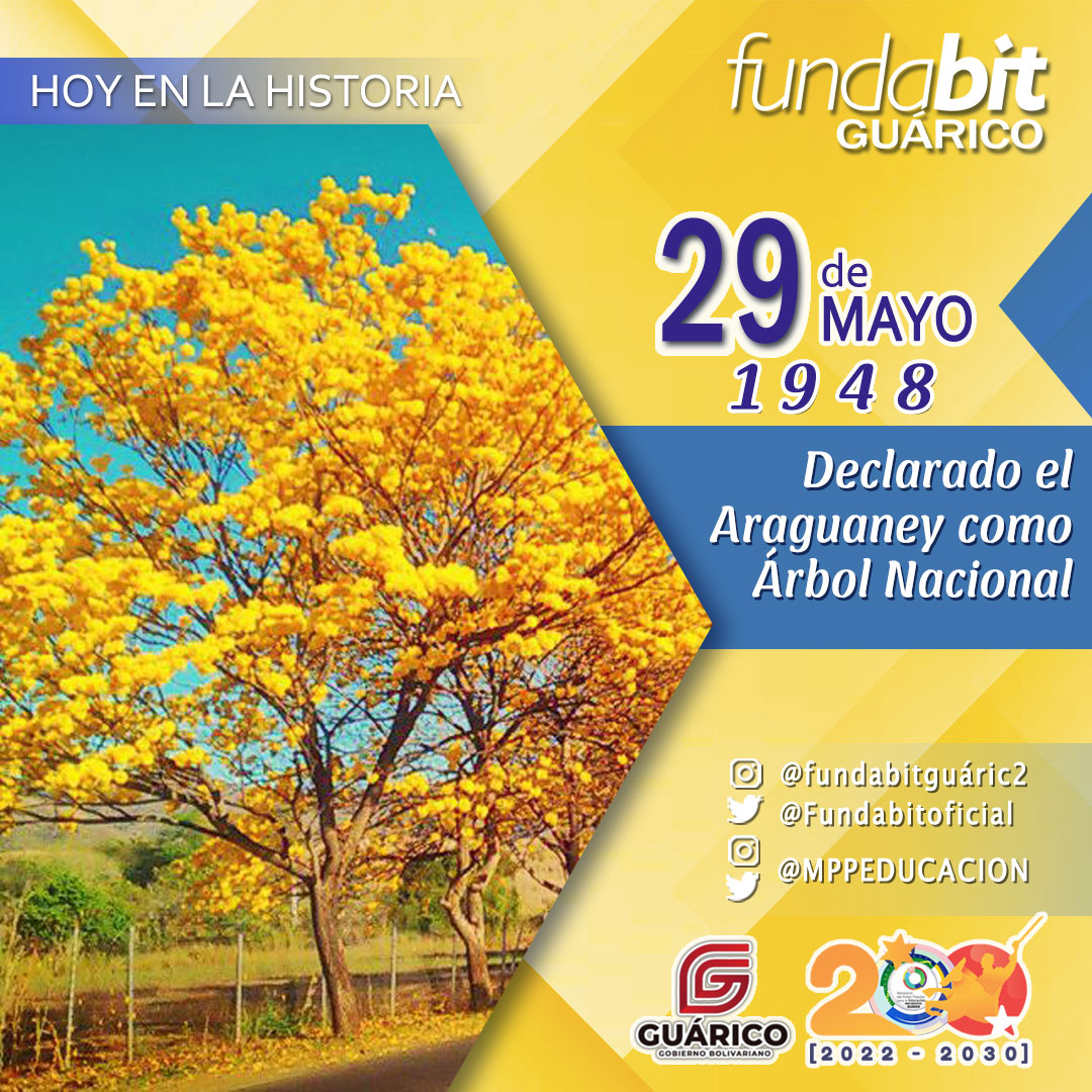 #Efeméride #29Mayo || Un día como hoy se declara el Araguaney Árbol Nacional de #Venezuela cuya belleza permite disfrutar de estupendos paisajes amarillos, adornando las bellezas naturales y el sentir que estamos en Venezuela. <a href="/NicolasMaduro/">Nicolás Maduro</a> <a href="/_LaAvanzadora/">Yelitze Santaella</a>

#UniónSuramericana