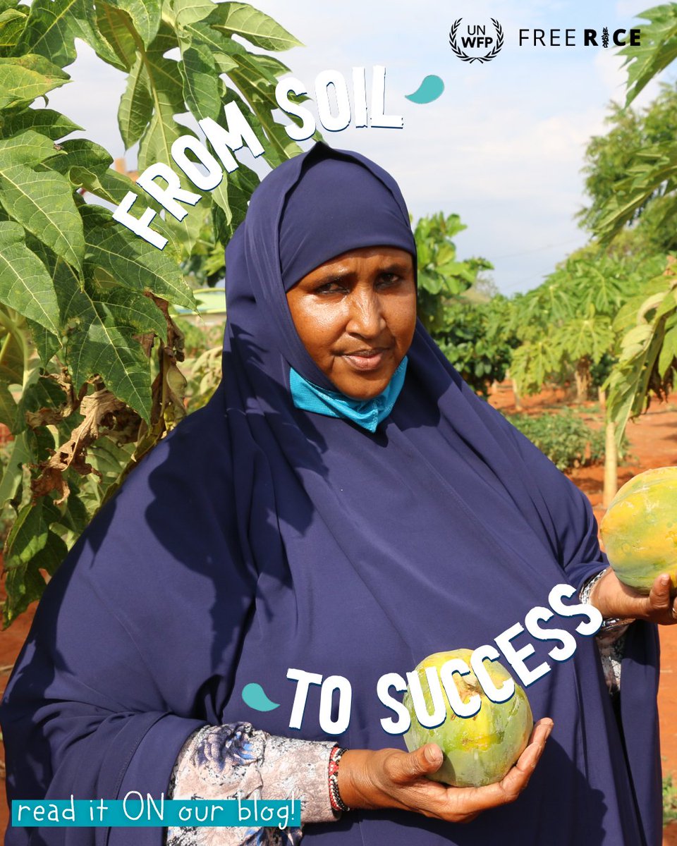 Freerice's tweet photo. In honor of #AfricanMonth, we are sharing our latest blog, featuring Habiba’s incredible journey from soil to success!
Celebrate African Month and read Habiba's inspiring story in our NEW #blogpost out now!
https://t.co/MDIvf6l6wj https://t.co/mbwA6jTBEH