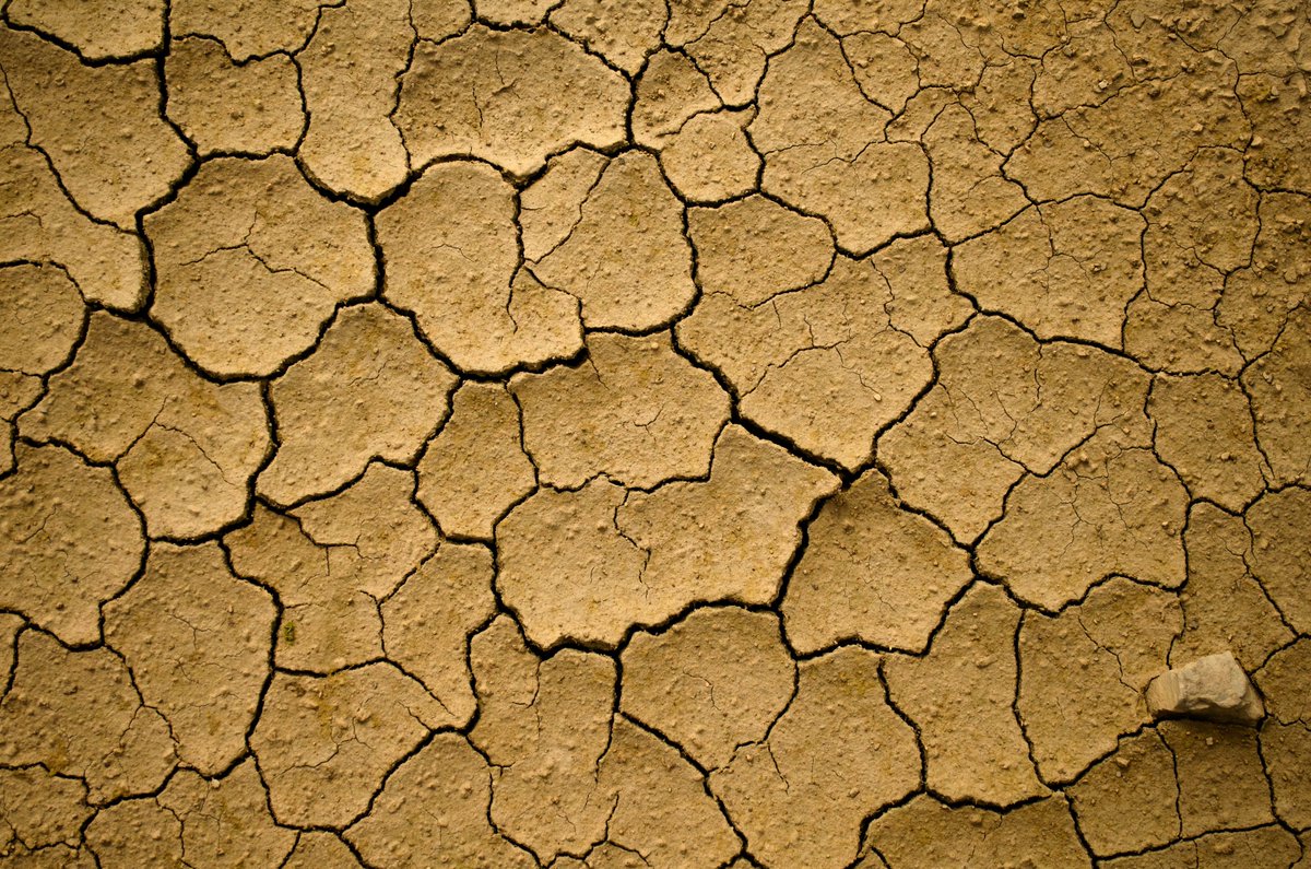 DigitAFproject's tweet photo. About 2 billion hectares of land worldwide is affected by land degradation. 
#Agroforestry systems have a strong potential to control #soil erosion.

Discover more ➡️ https://t.co/udeLipQQ2w

@HorizonEU
#DigitAF #HorizonEurope #HorizonEU #BiodiversityDay2023 https://t.co/ts0ddYO7q6